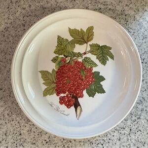 Portmeirion Pomona “The Red Currant” 10.5” Dinner Plate – Vintage England